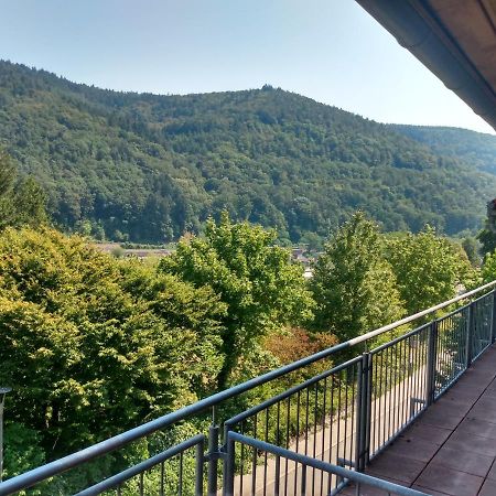 Hotel Zum Neckartal Хайдельберг Экстерьер фото